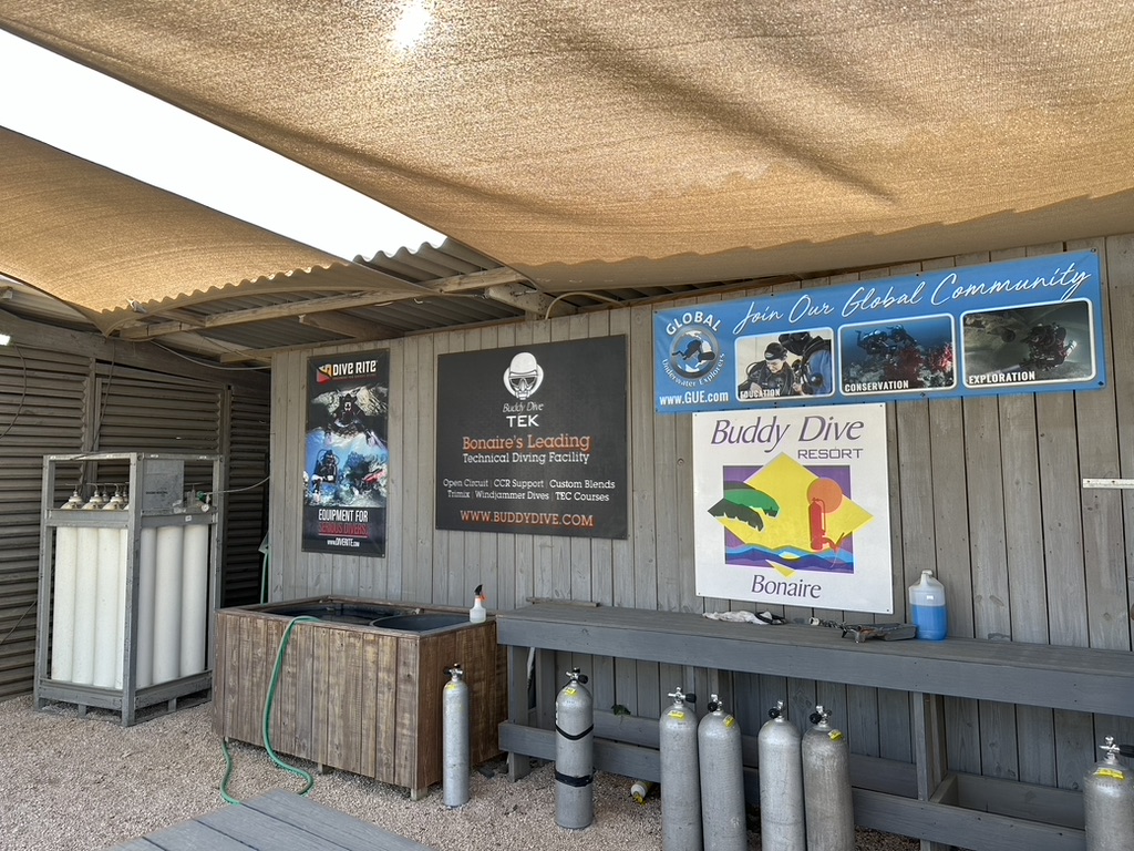 Support local dive shops