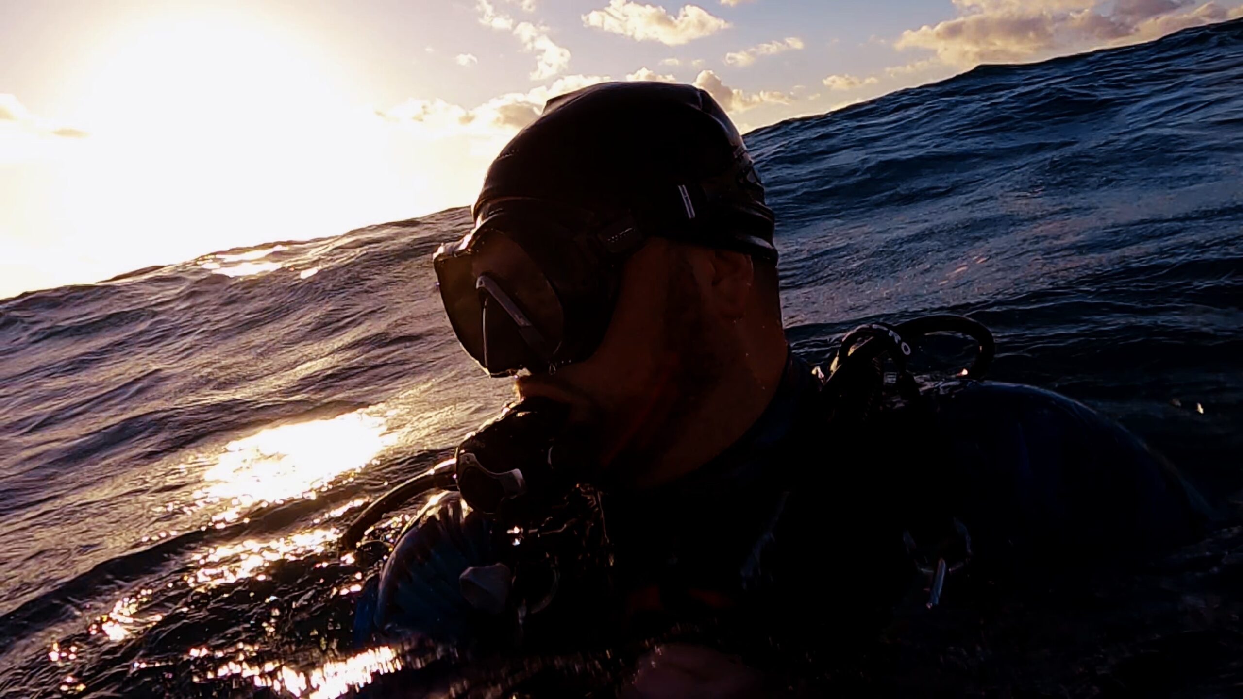 Diving in Jupiter, Florida